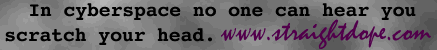 [In cyberspace, no one can hear you scratch your head...]